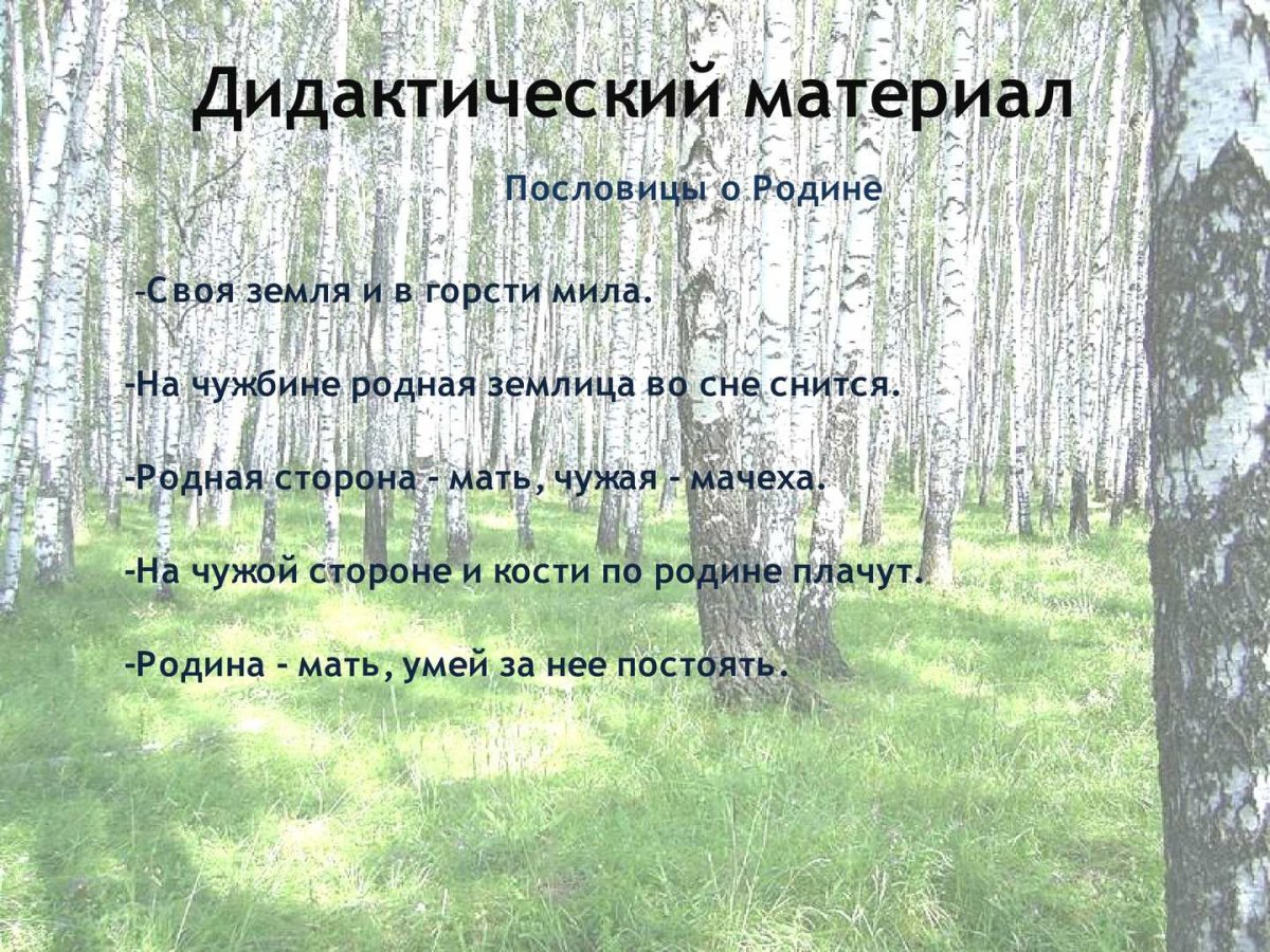 Иллюстрация к пословице