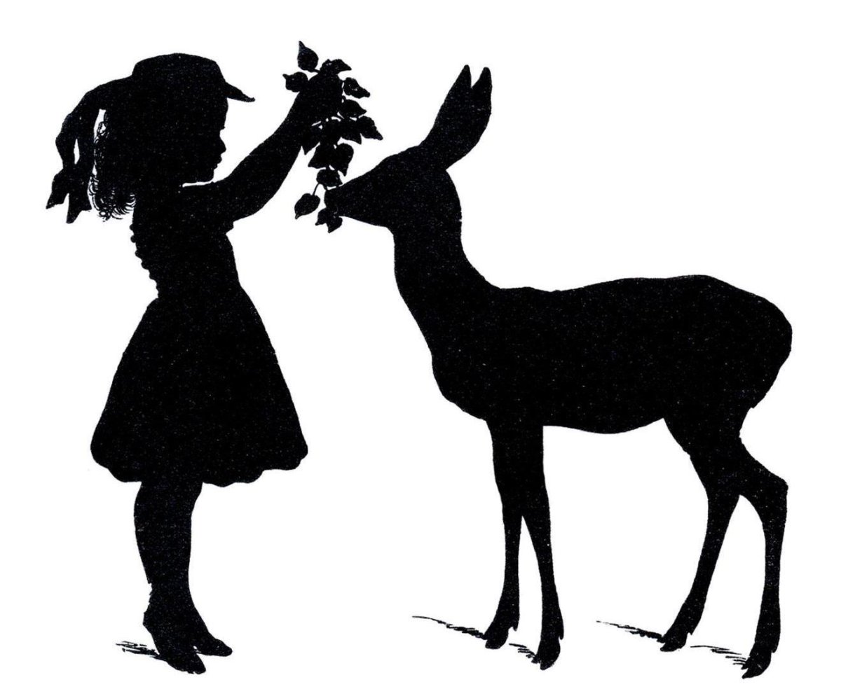 Театр теней алладин