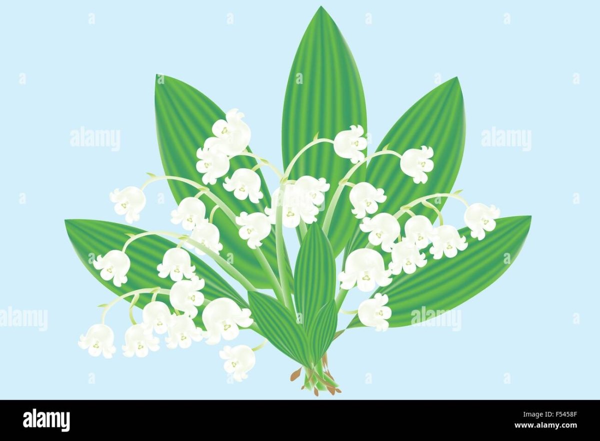 Ландыши силуэт