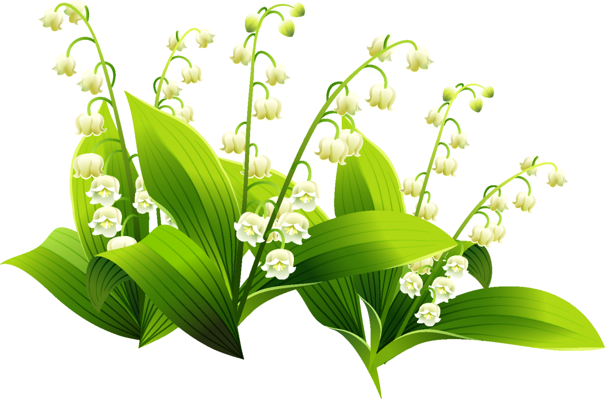 Ландыши референс