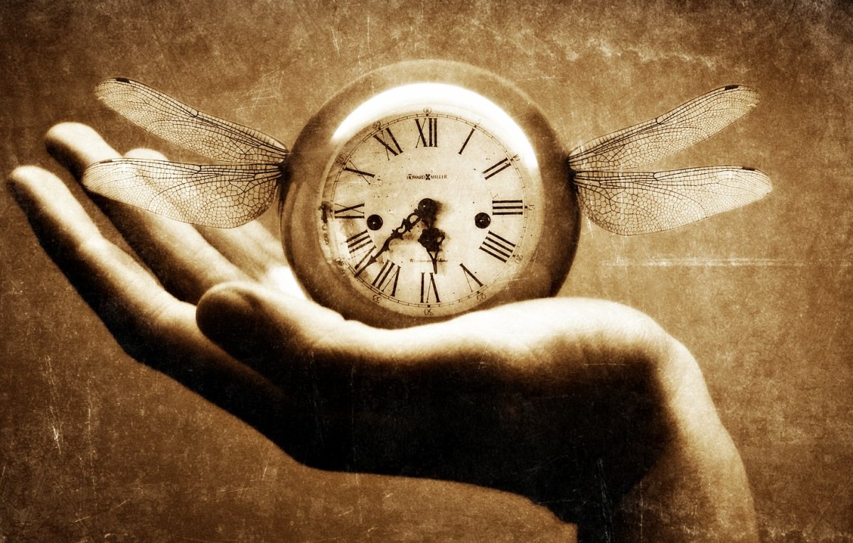 Самый ценный подарок который ты можешь преподнести