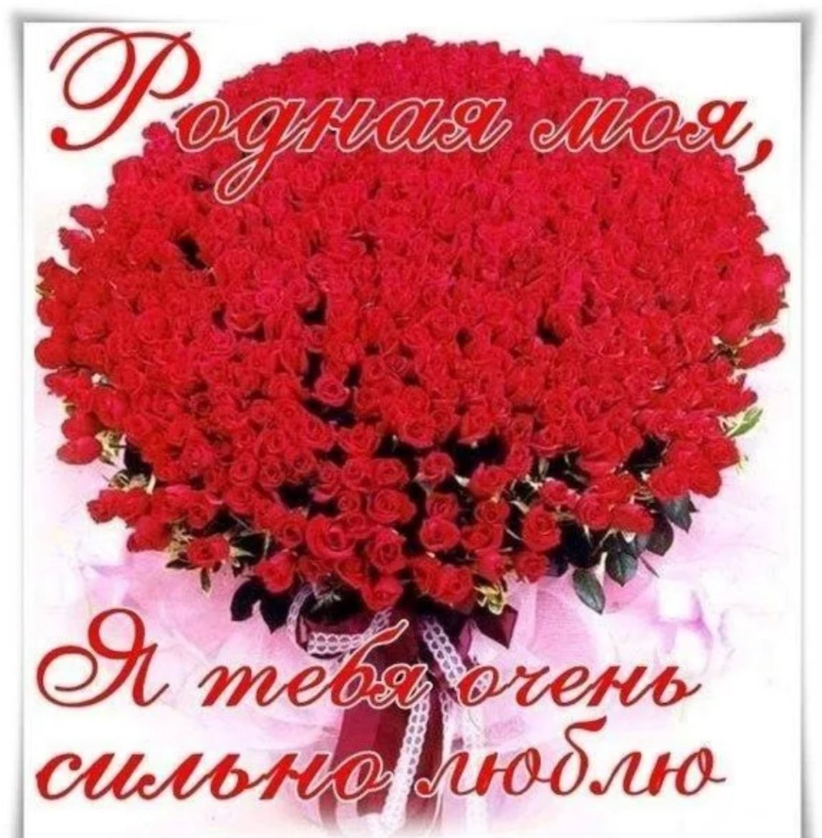 Любимая дочка