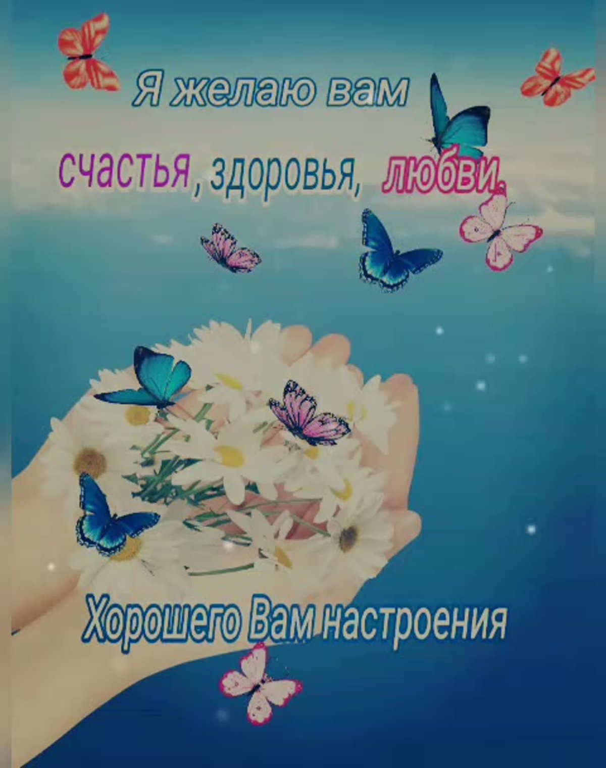 Душевного тепла и солнечного настроения