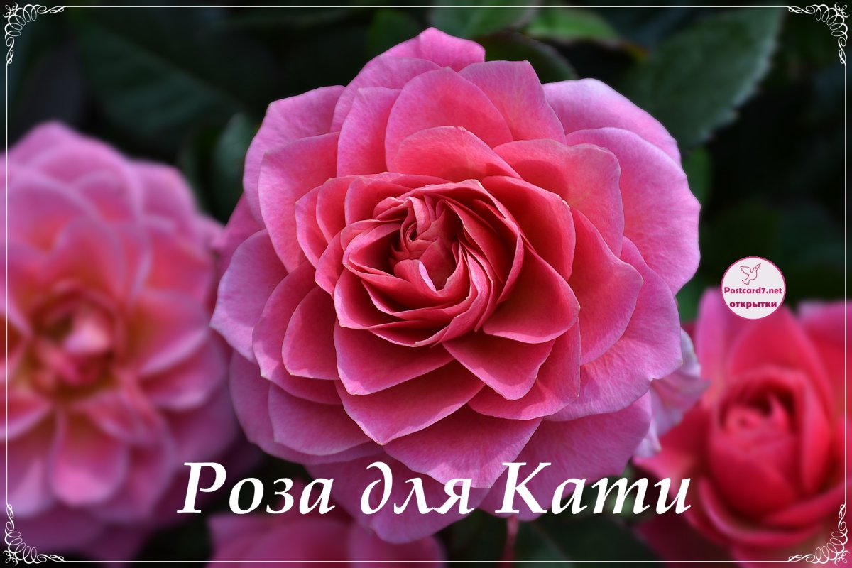 Красивое поздравление с днем ангела