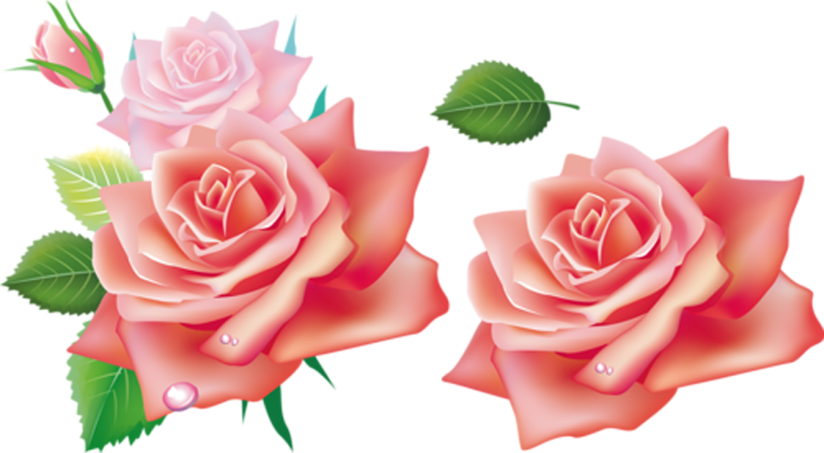 Винтажные розы на прозрачном фоне