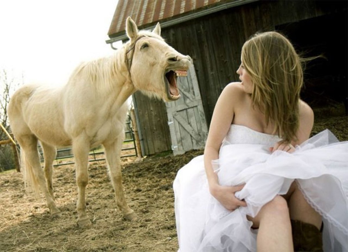 Женщины ждут принца на белом коне а мужчины