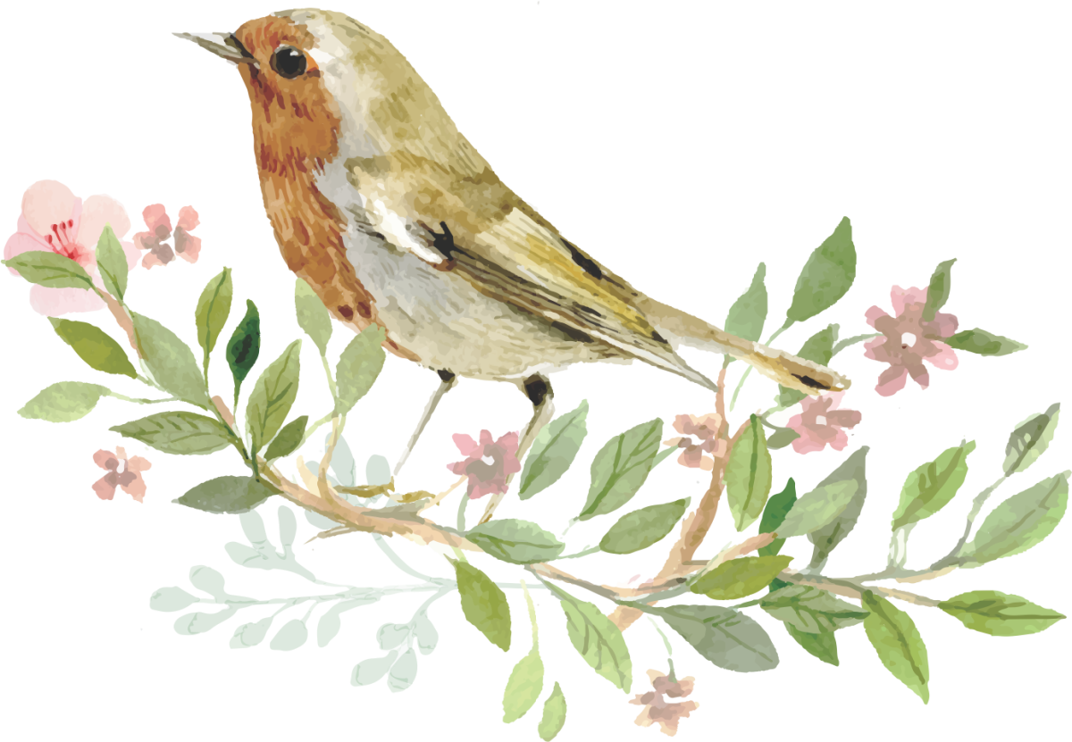 Виталий Бианки Подкидыш