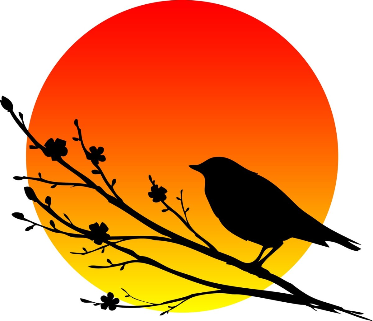 Соловьиный край Курск