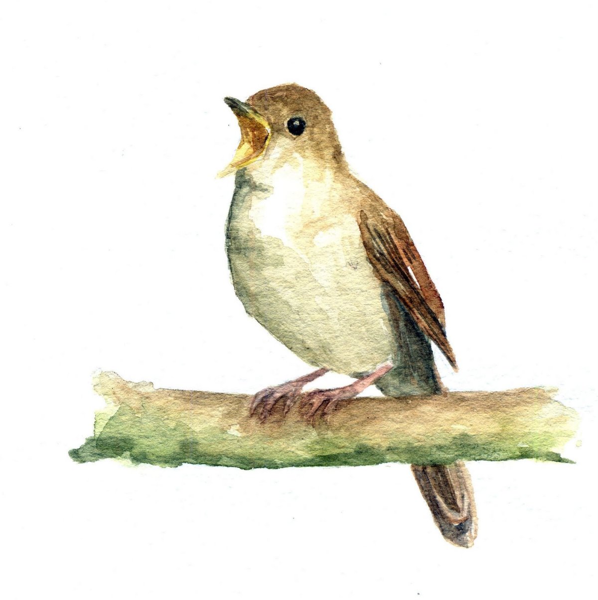 Соловей для детей