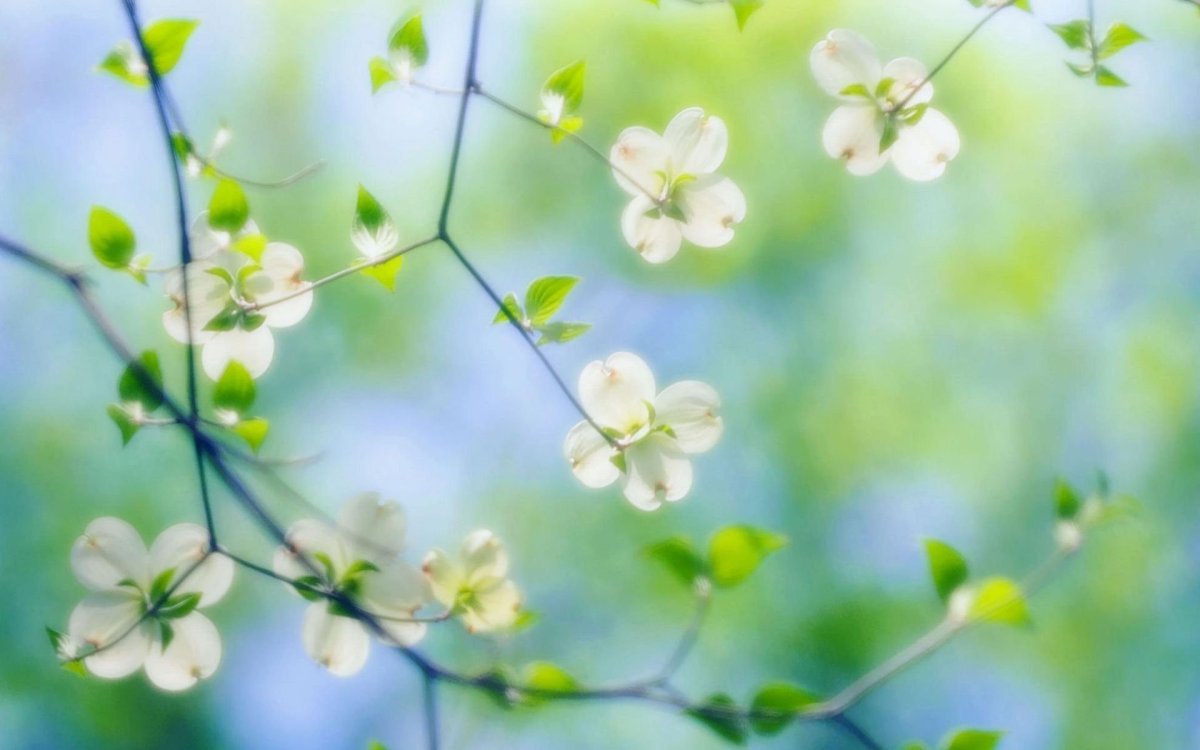 Весенняя оттепель