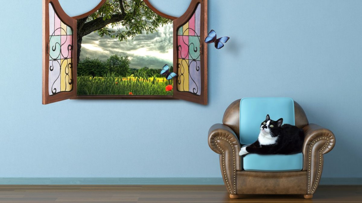 Окна для декупажа