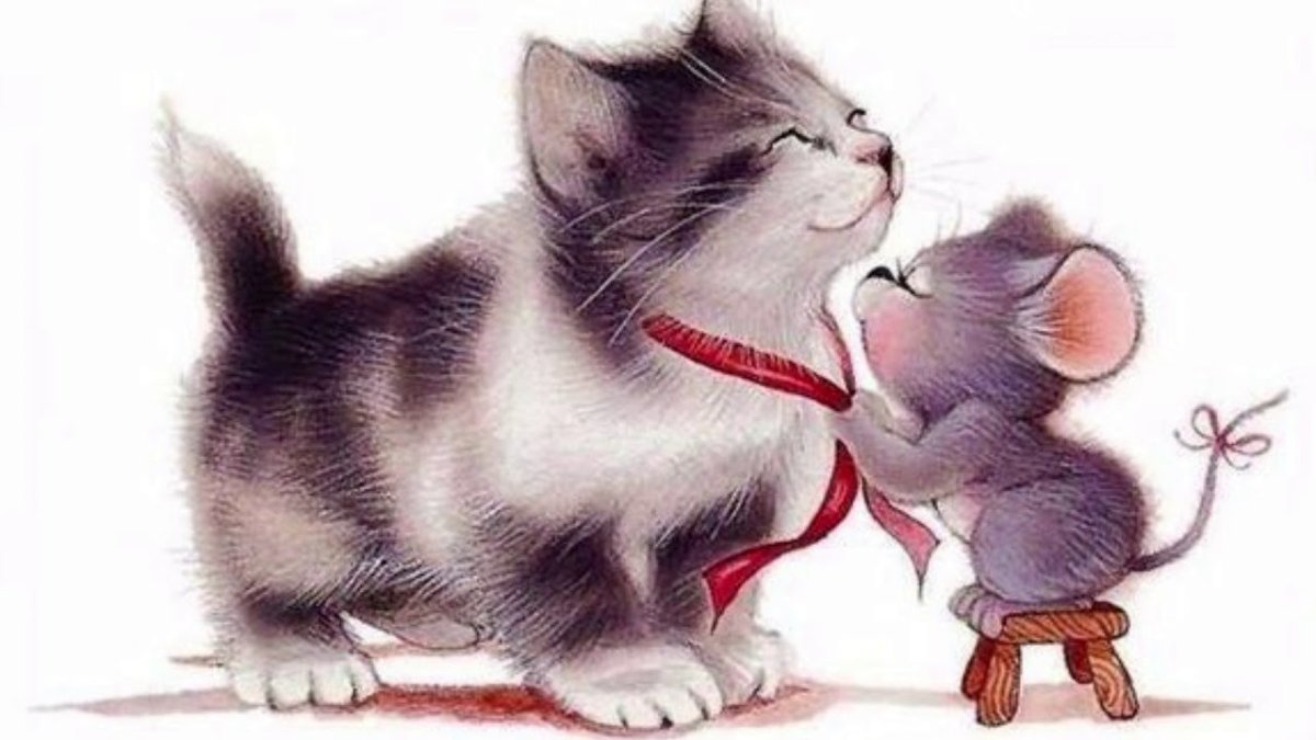 Кошка и мышка любовь