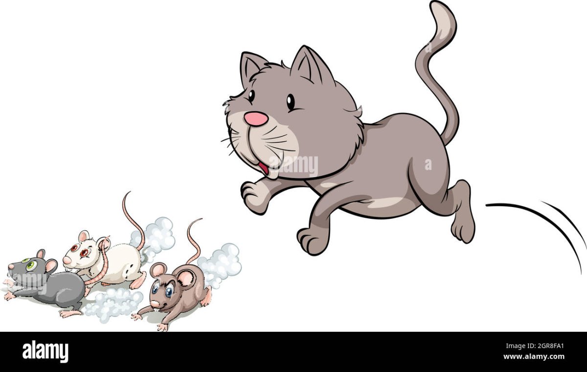 Кошка и мышка на прозрачном фоне