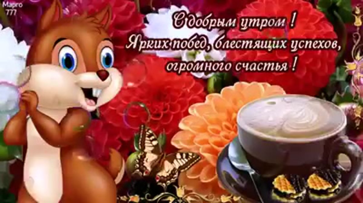 Тик-ток с добрым утром