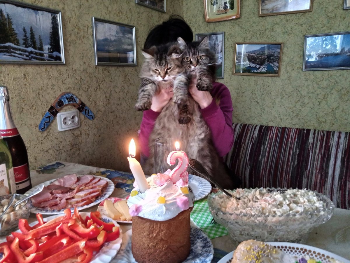 Смешное застолье