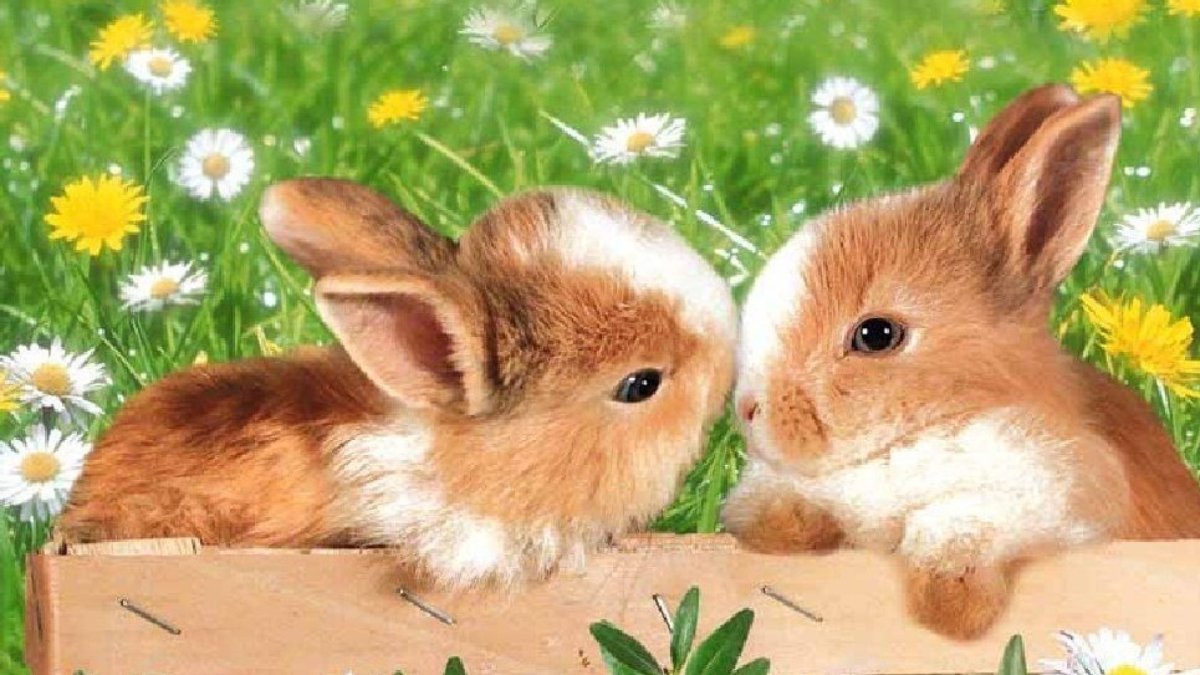 Открытки с пятницей