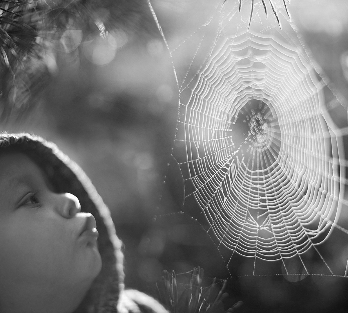 Картинки вызывающие эмоции