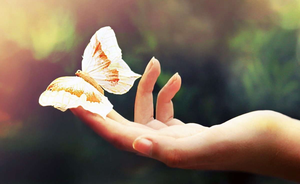 Любви прекрасные мгновения