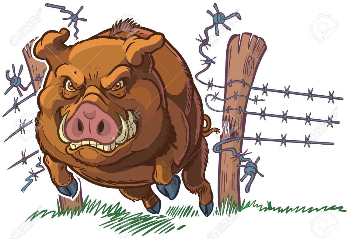 Кабан мультяшный на белом фоне