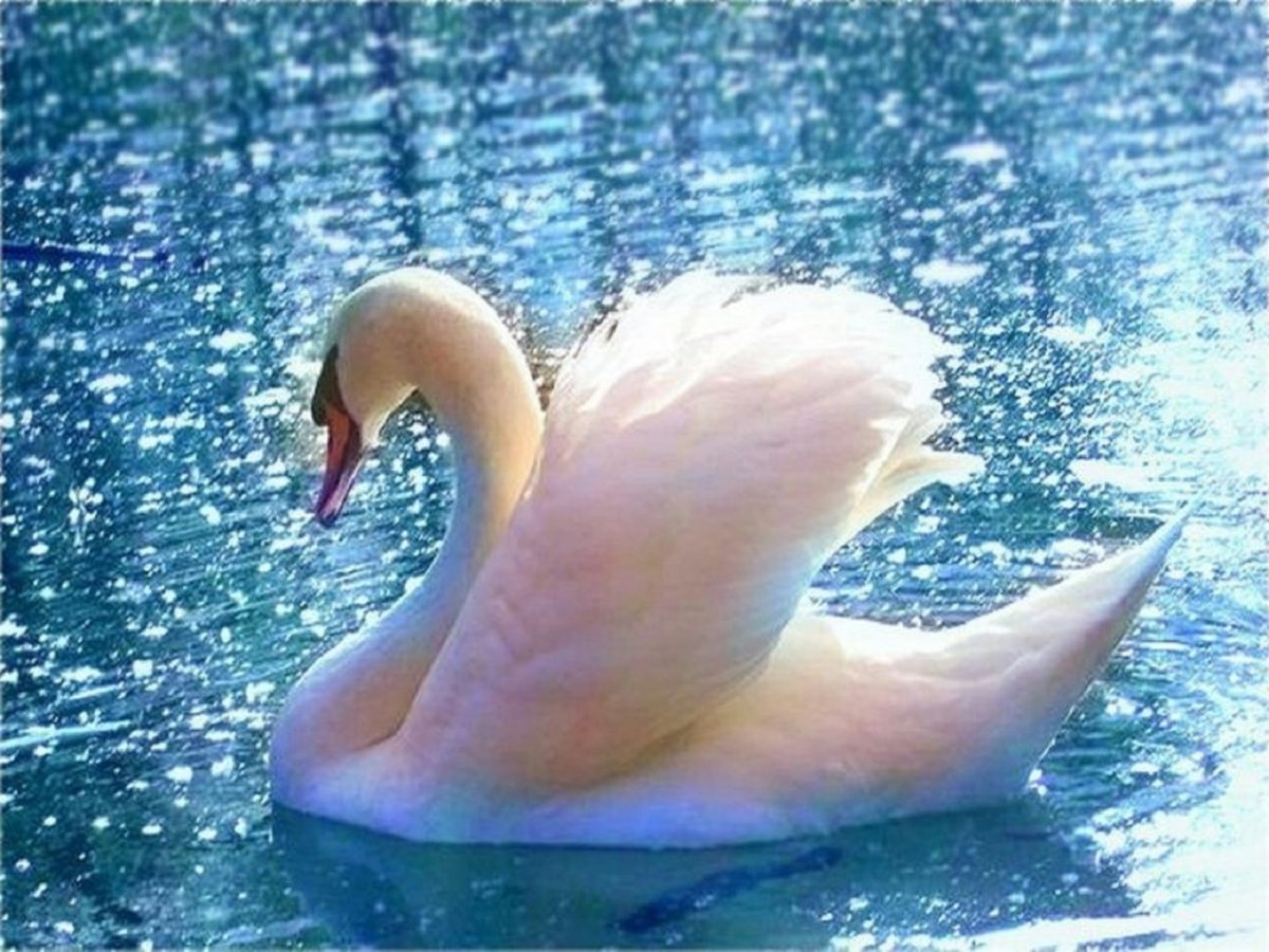 Алмазная мозаика «лебеди»