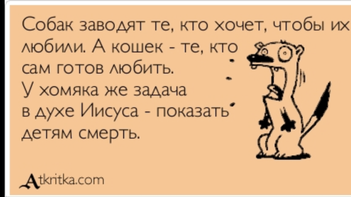 Юридические шутки