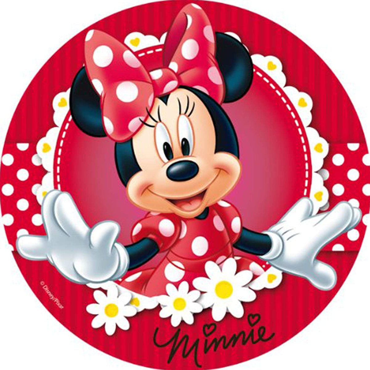 Минни Маус под эпоксидку