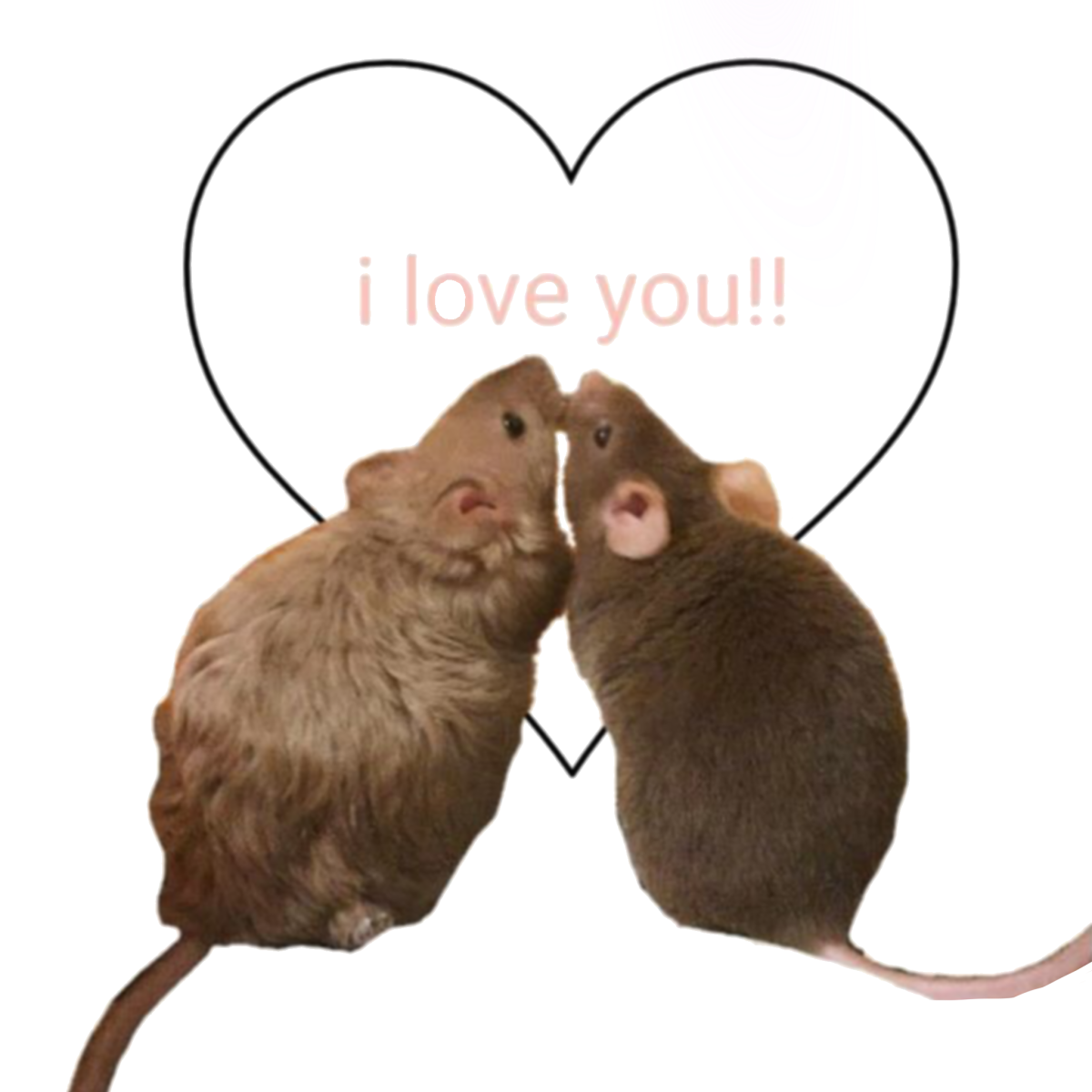 Эмоциональная крыса