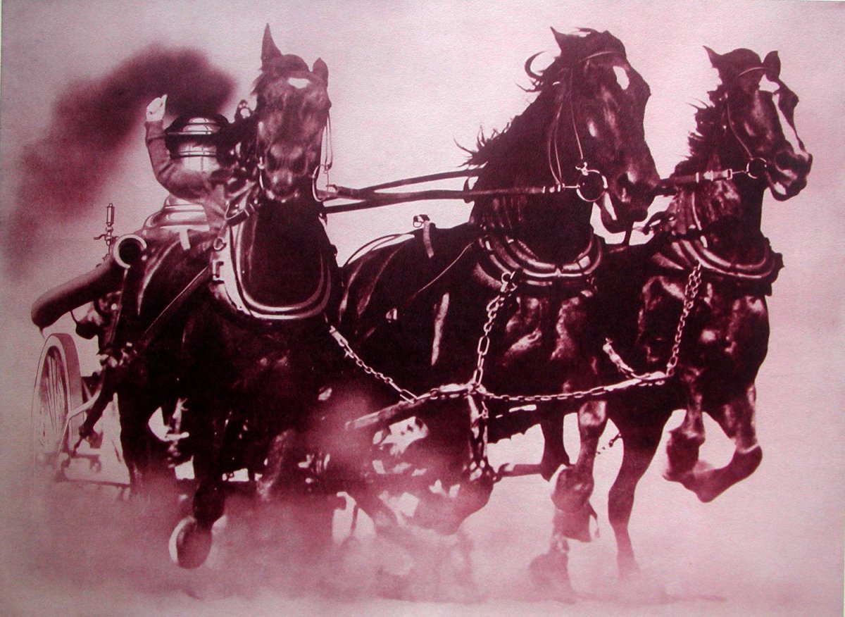 Пожарная лошадь