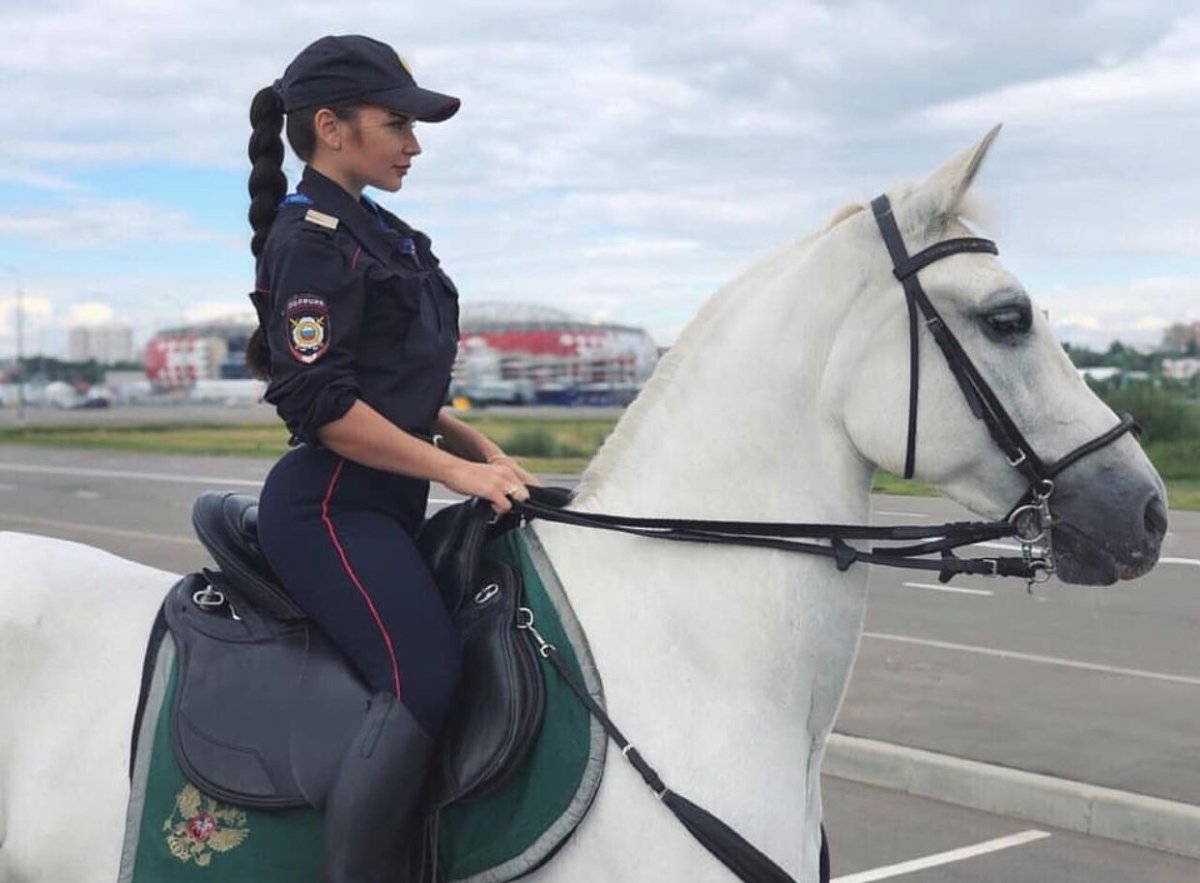 Ковбой на фоне заката