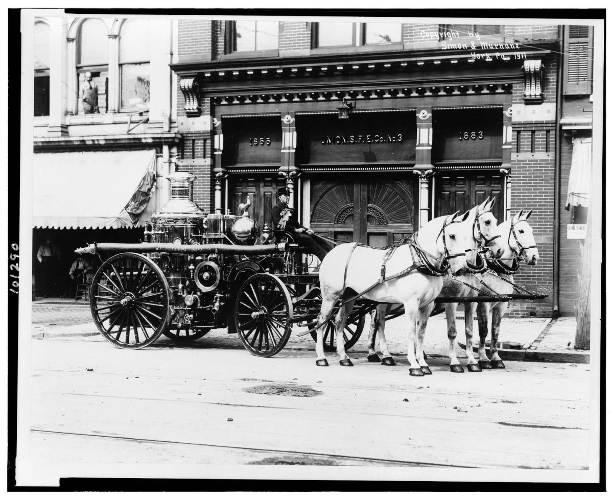 BOJACK Horseman арт