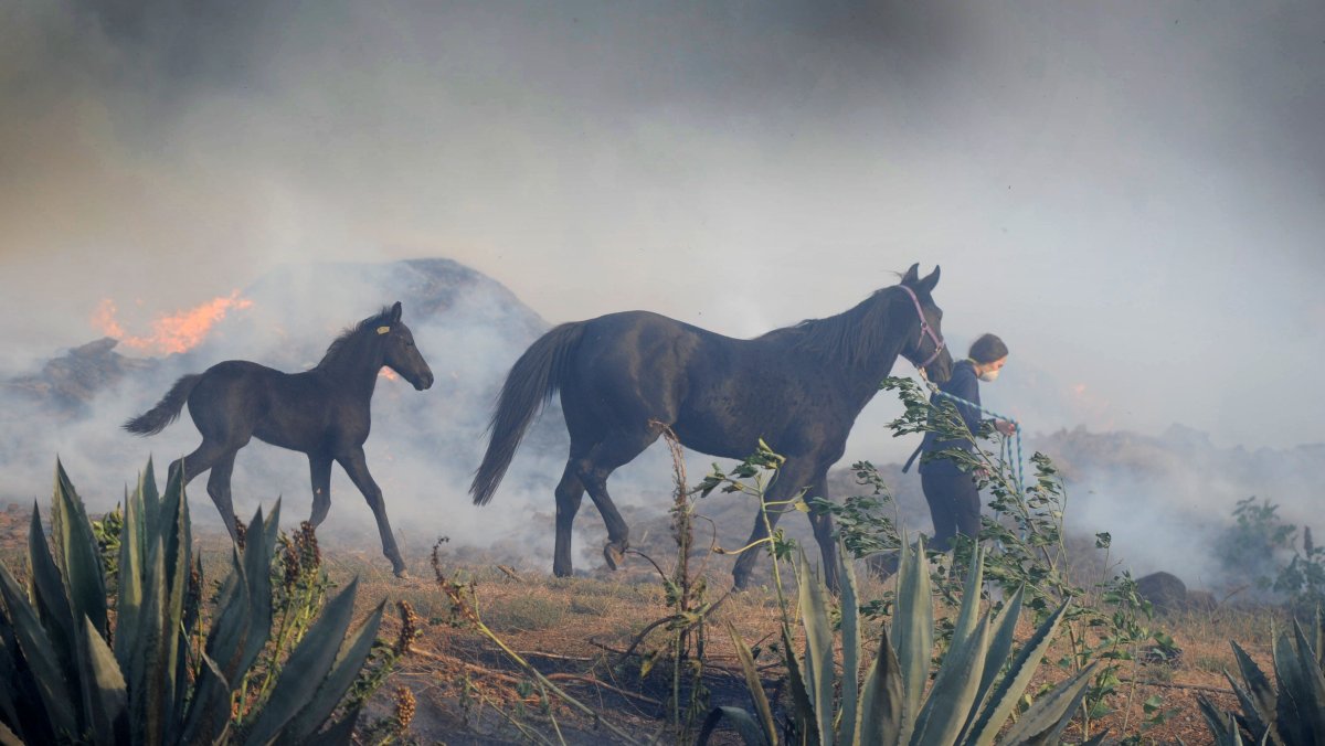 Конно-бочечный пожарный ход