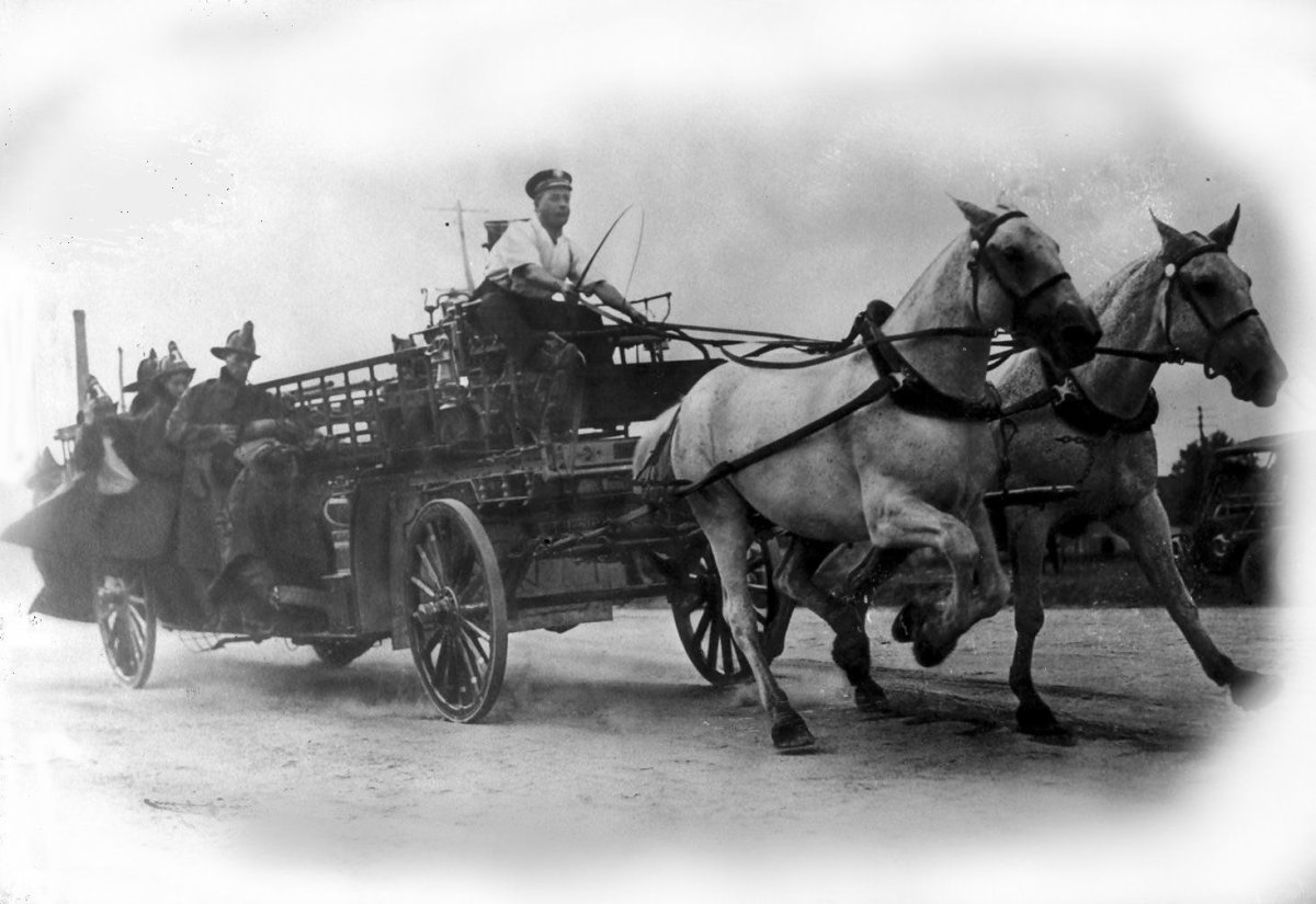 Пожарные на лошадях картинки