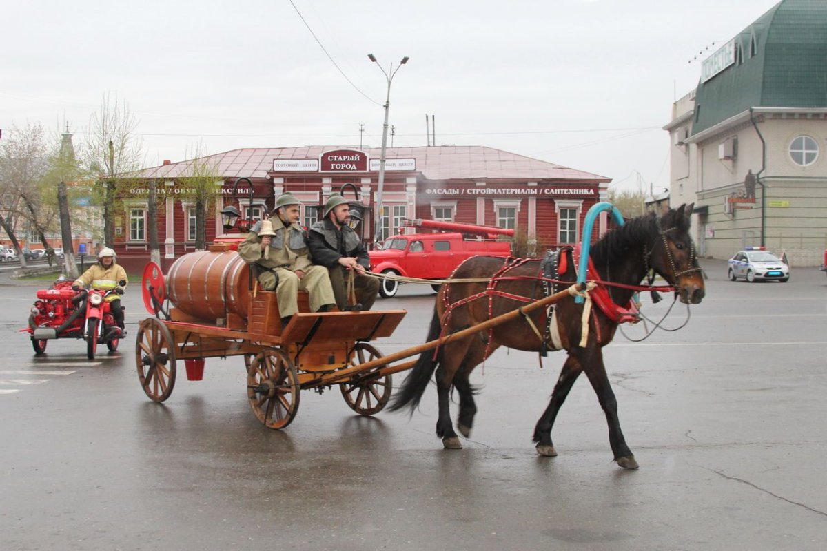 Соревнование лошадей тяжеловозов
