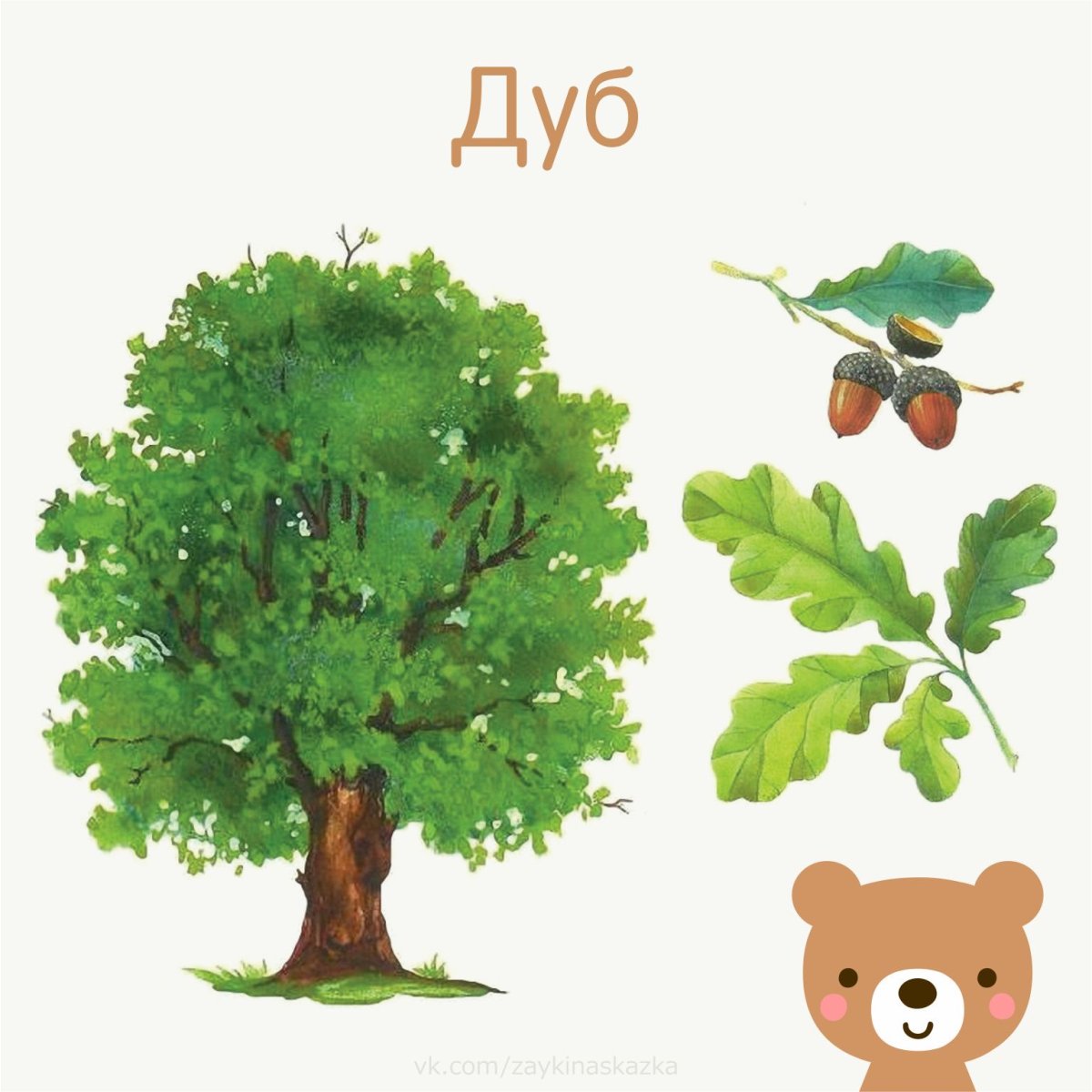 Карточки деревья для детей