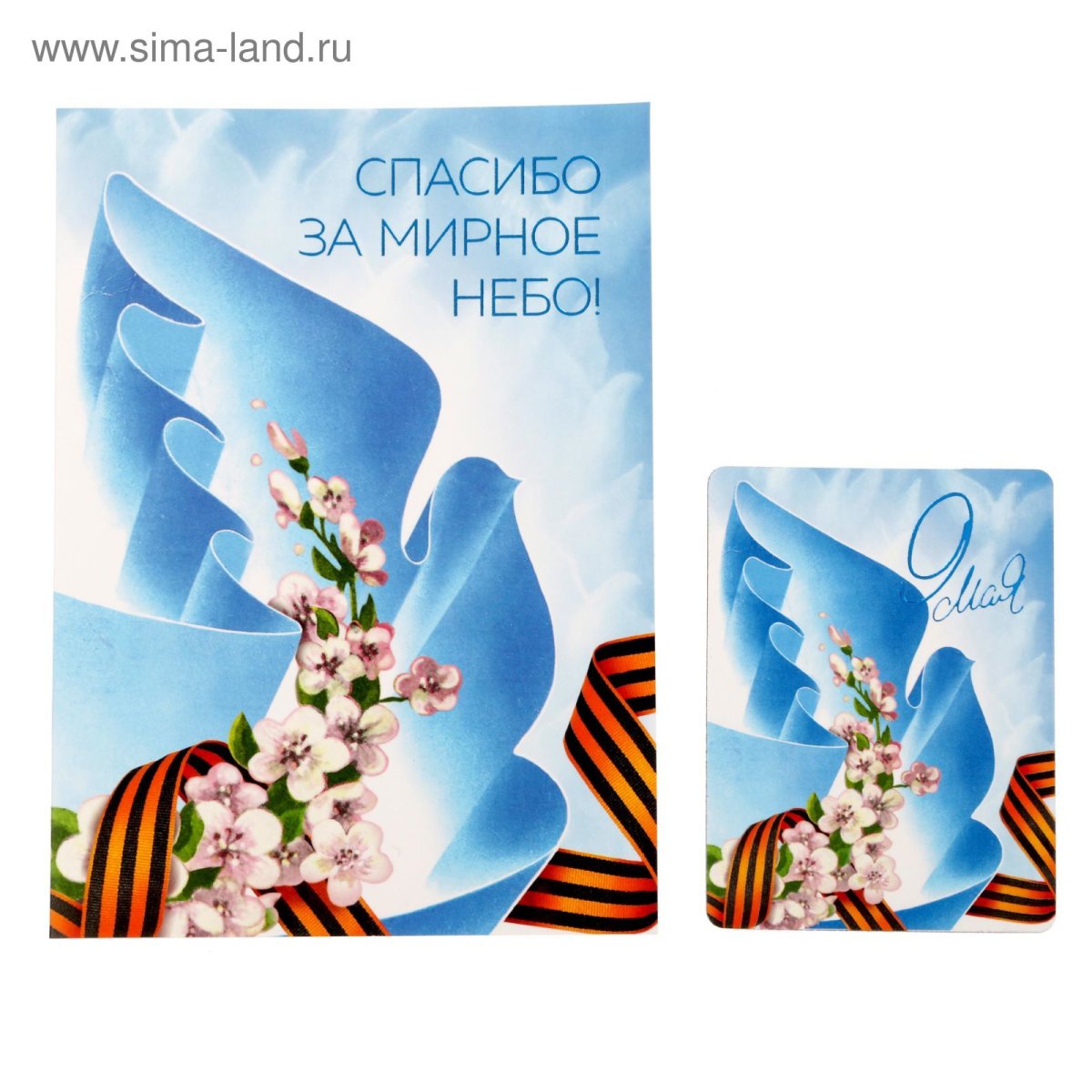 Спасибо за мирное небо над головой