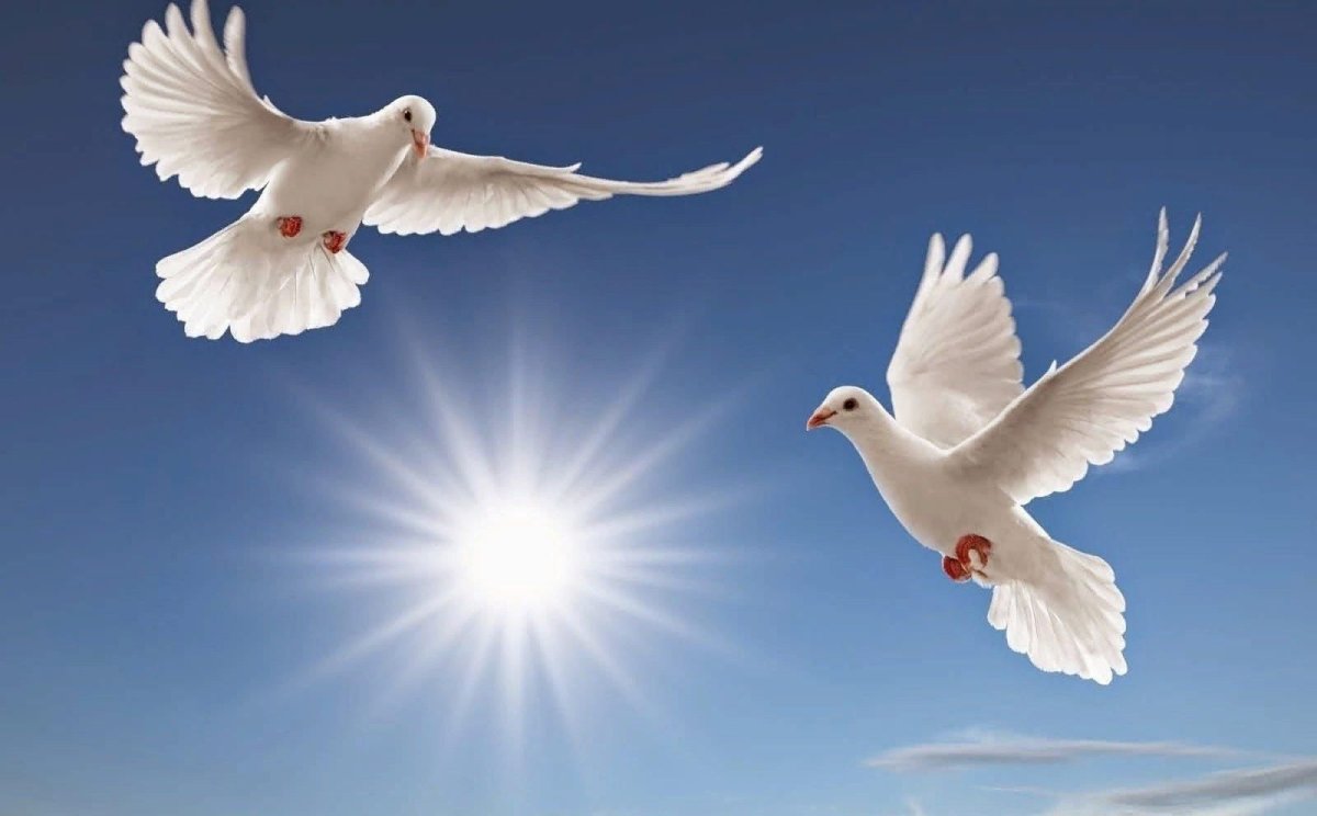 С праздником Великой Победы