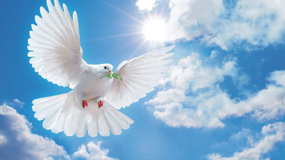 Я за мирное небо над головой