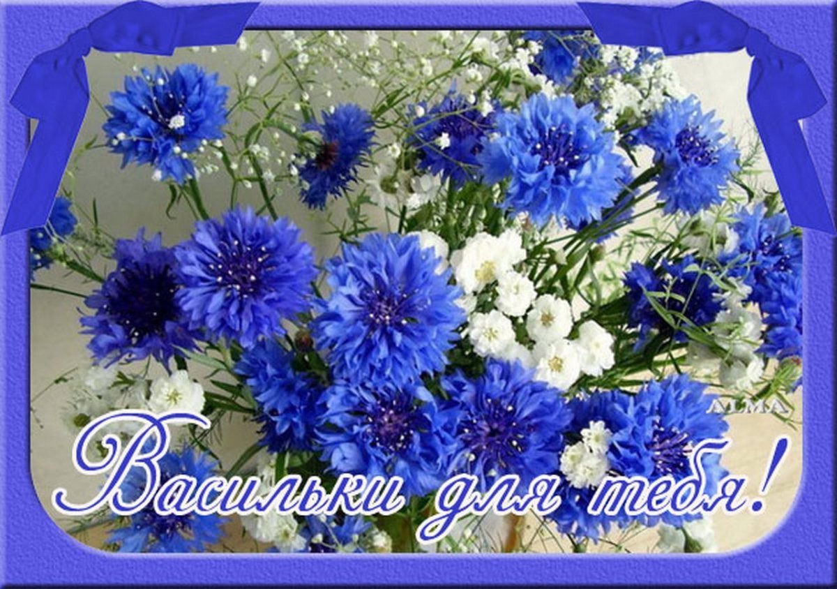 Поздравления с днём рождения роману