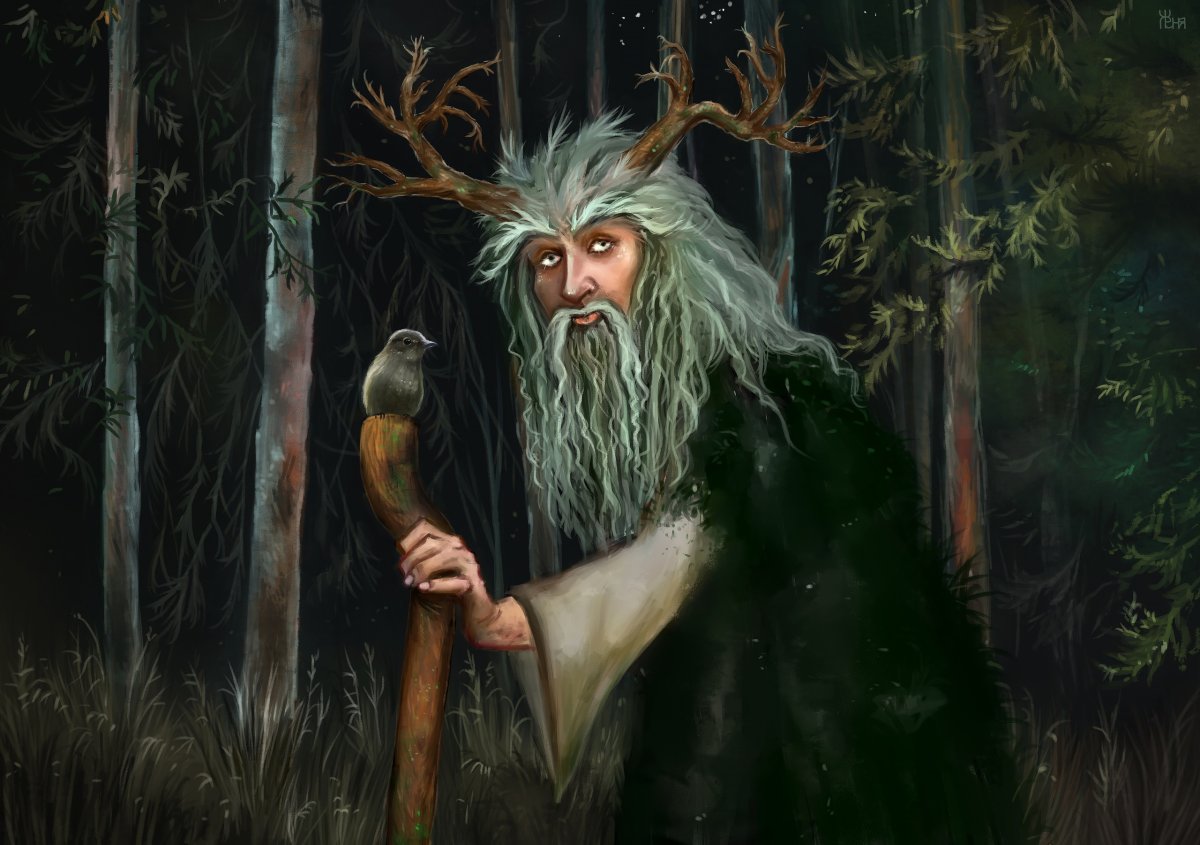 Мак котосказки