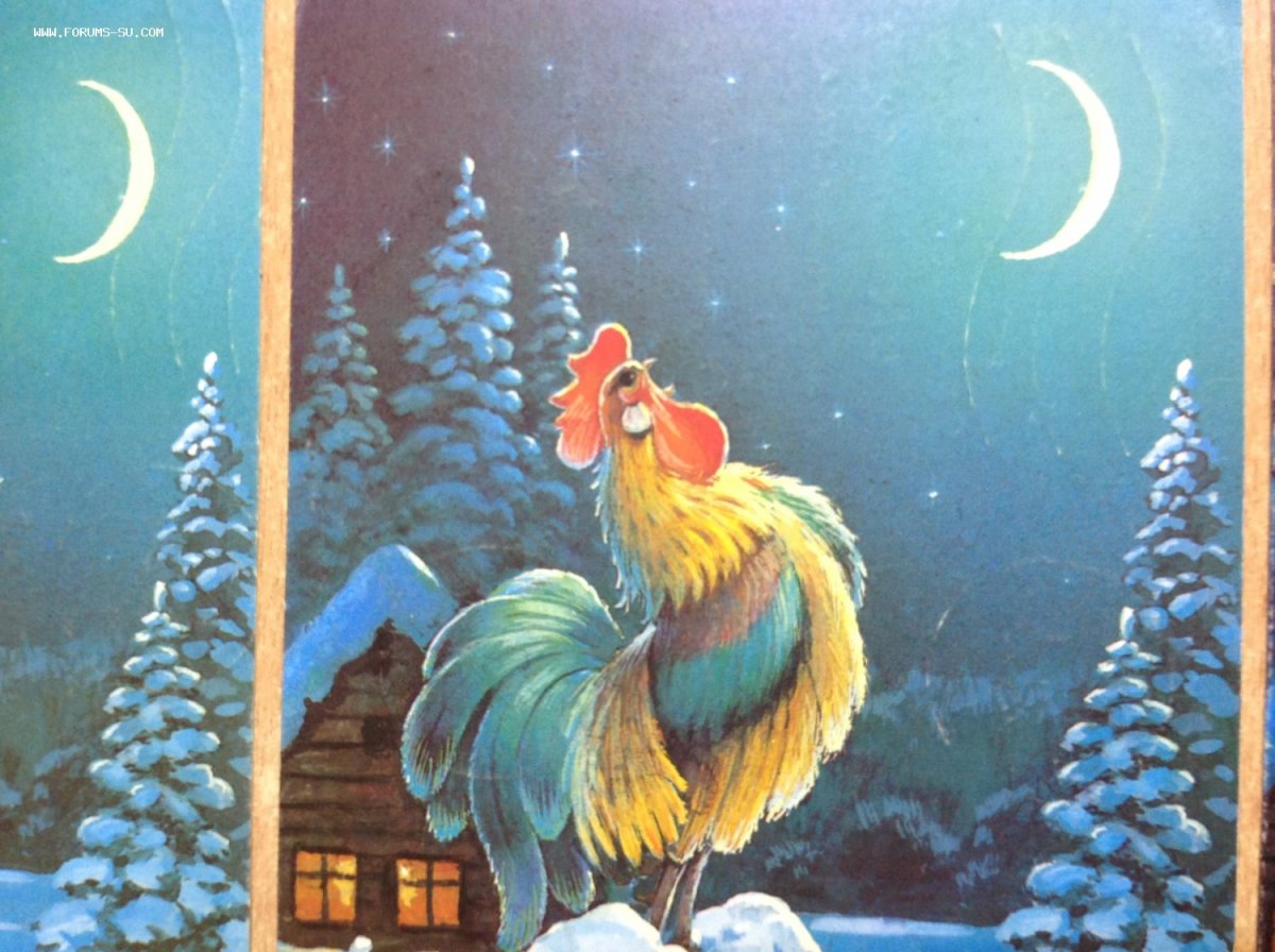 С Рождеством Зарубин