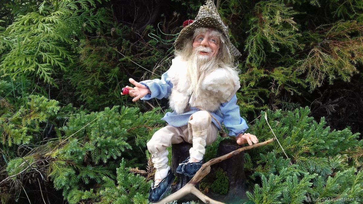 Старый пень