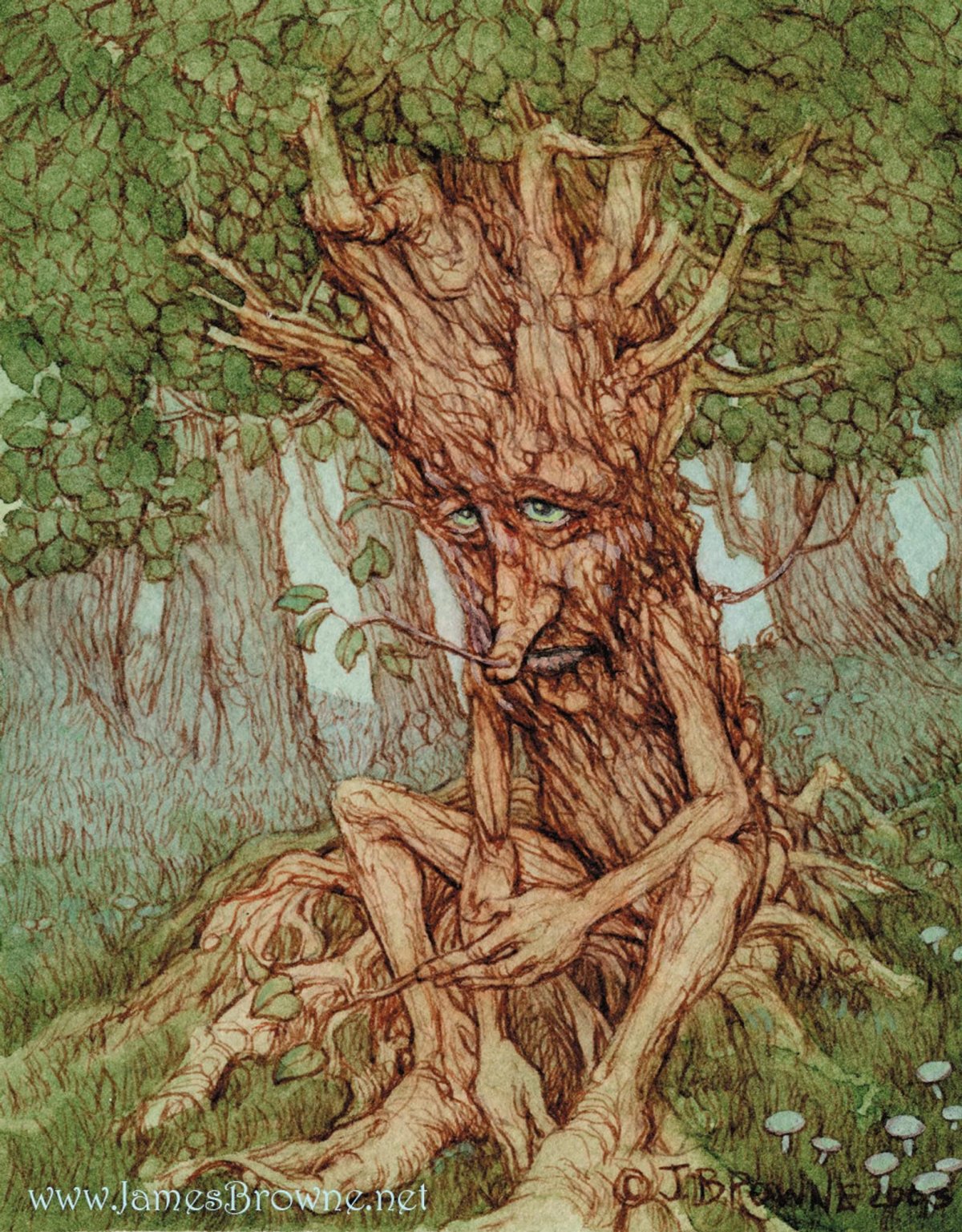 Баба Яга и Кикимора