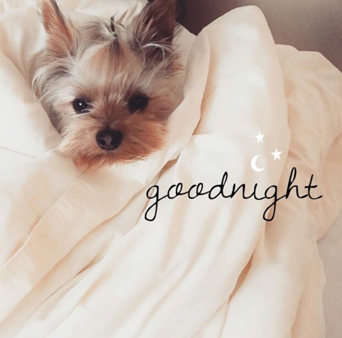 Бильсон Евгения Тверь