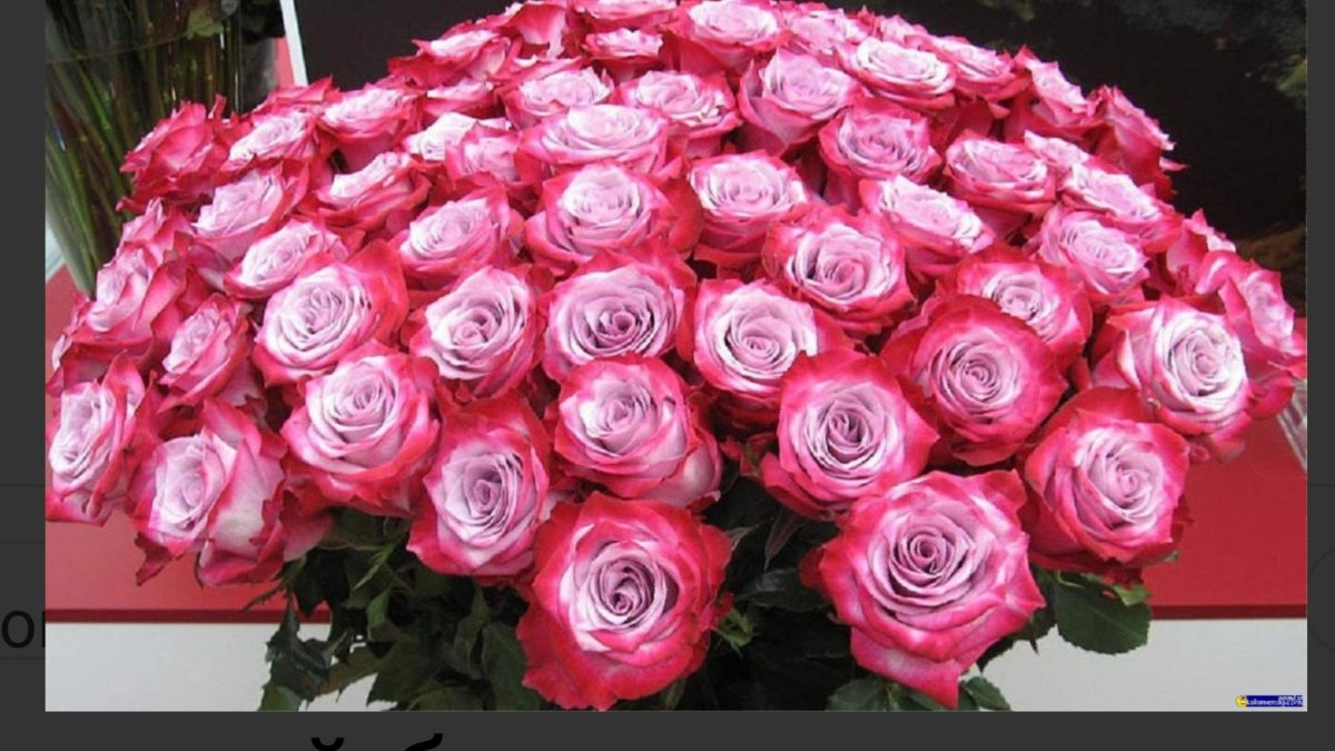 Шикарные охапки роз