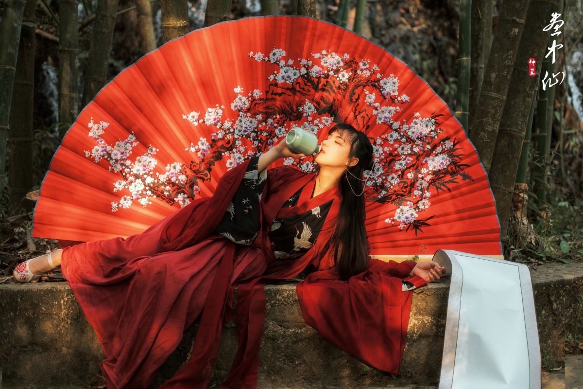 Китайские гейши