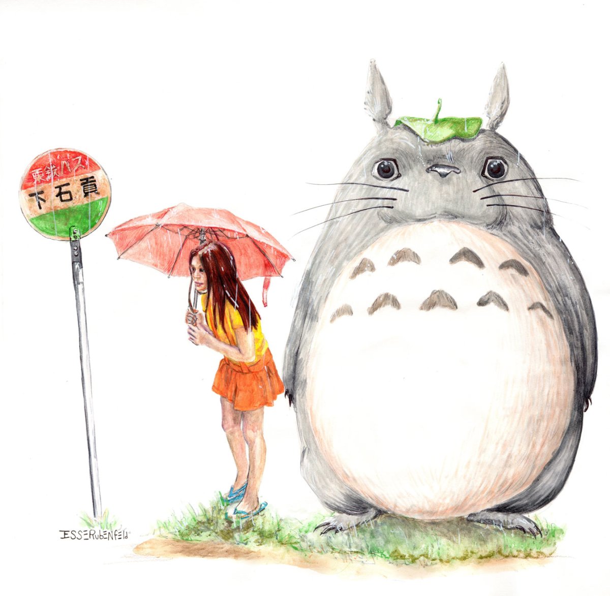 Тоторо кошка