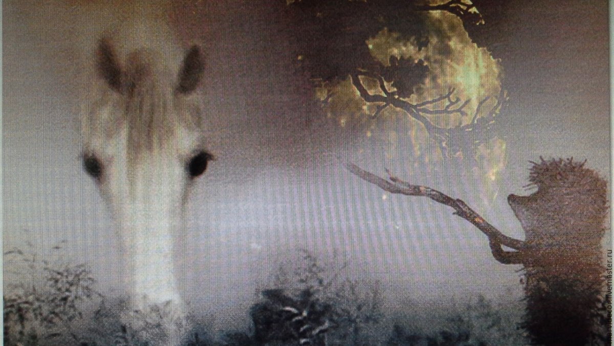 Ежик в тумане Ежик лошадка