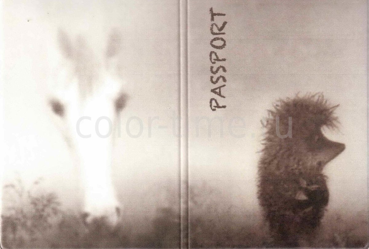 Лошадь Норштейн