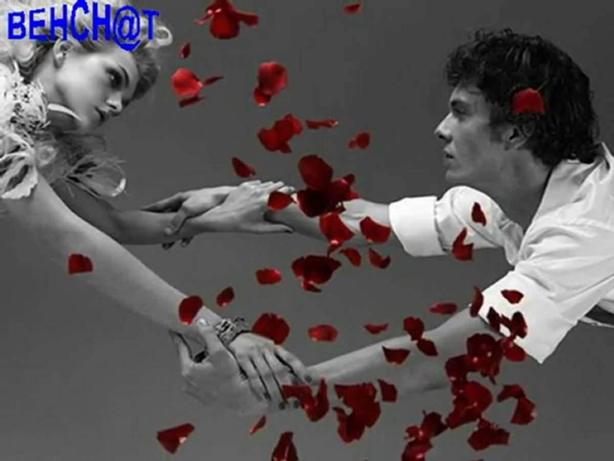 Цитаты про сумасшедшую любовь