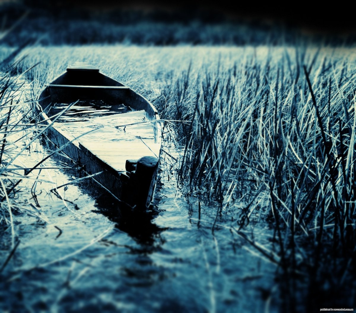 Стабильность в жизни